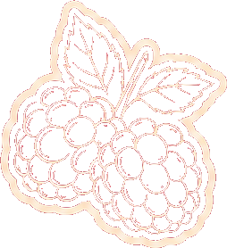 Illustration de framboises